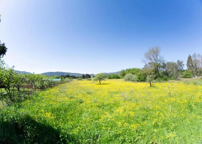 公寓 Corfu Dream Holidays *