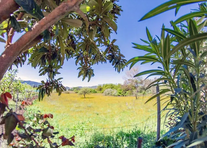 Corfu Dream Holidays 公寓 Kouramaditika