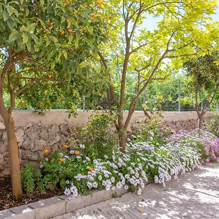 Corfu Dream Holidays شقة Kouramaditika