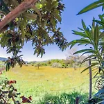 Corfu Dream Holidays דירה Kouramaditika