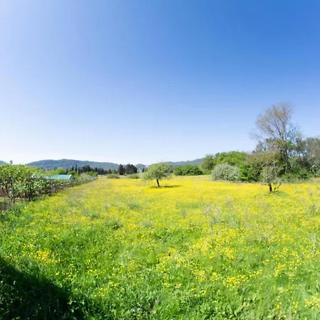 Daire Corfu Dream Holidays *