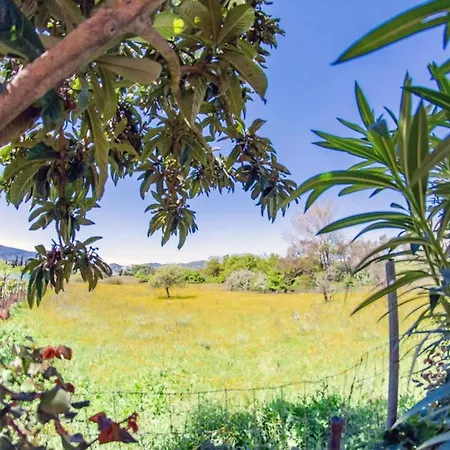 Corfu Dream Holidays Appartement Kouramaditika